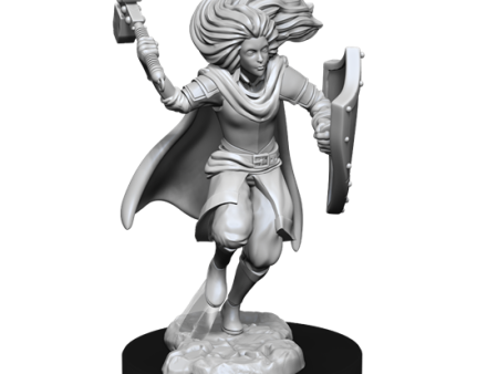 D&D Nolzur s Marvelous Miniatures: Changeling Cleric Discount