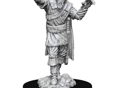 D&D Nolzur s Marvelous Miniatures: Scarecrow & Stone Cursed For Sale