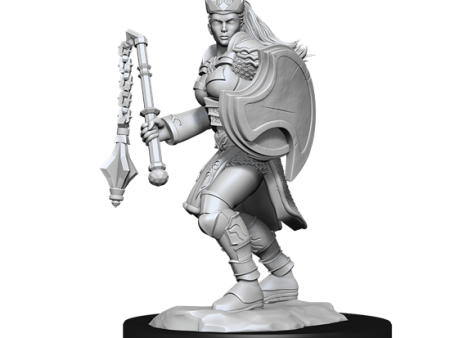 D&D Nolzur s Marvelous Miniatures: Kalashtar Cleric  Female Supply