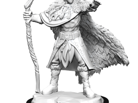 D&D Nolzur s Marvelous Miniatures: Human Druid Male Discount