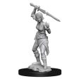 Magic the Gathering Unpainted Miniatures: Nahiri Online now