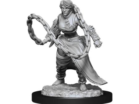 D&D Nolzur s Marvelous Miniatures: Human Monk  Female Online Hot Sale