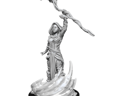 D&D Nolzur s Marvelous Miniatures: Human Druid Female Supply