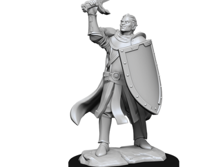 D&D Nolzur s Marvelous Miniatures: Half-Elf Paladin Male Online Hot Sale