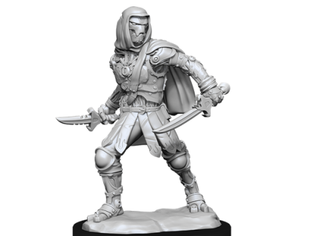 D&D Nolzur s Marvelous Miniatures: Warforged Rogue Supply