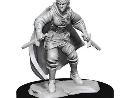 D&D Nolzur s Marvelous Miniatures: Half-Elf Rogue  Female Cheap