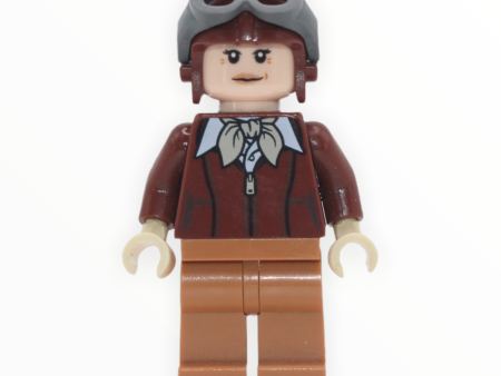 Amelia Earhart Online now